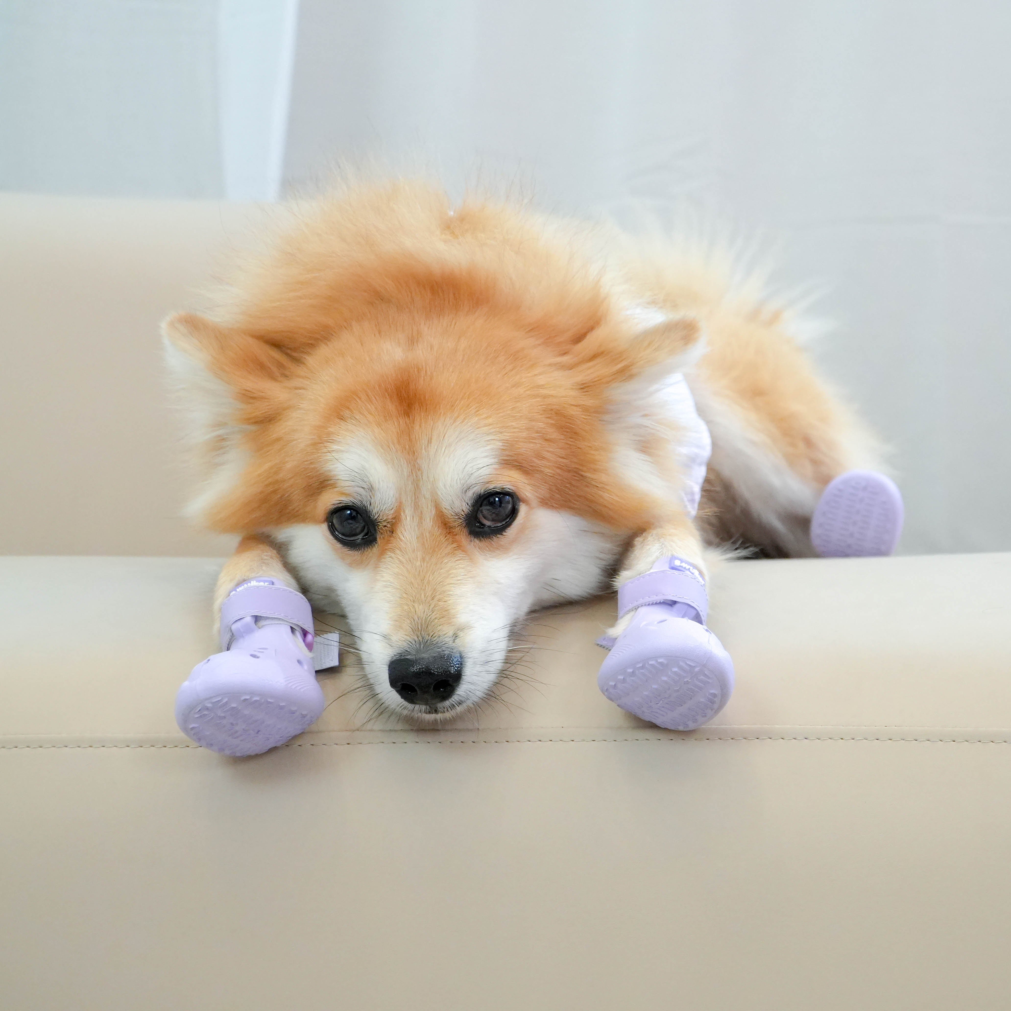 Cloud Walk in Grape Mochi