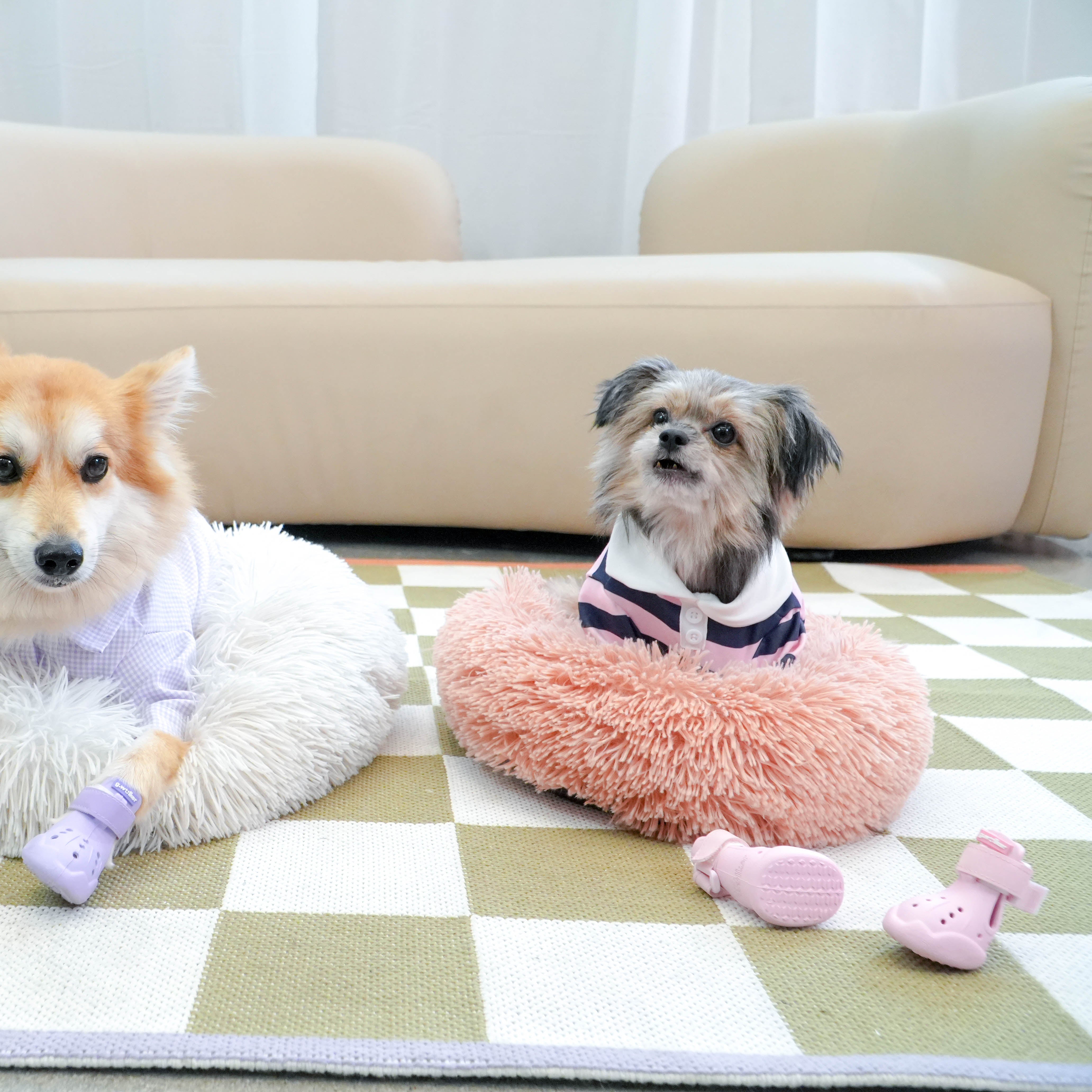 Cloud Walk in Rose Sorbet