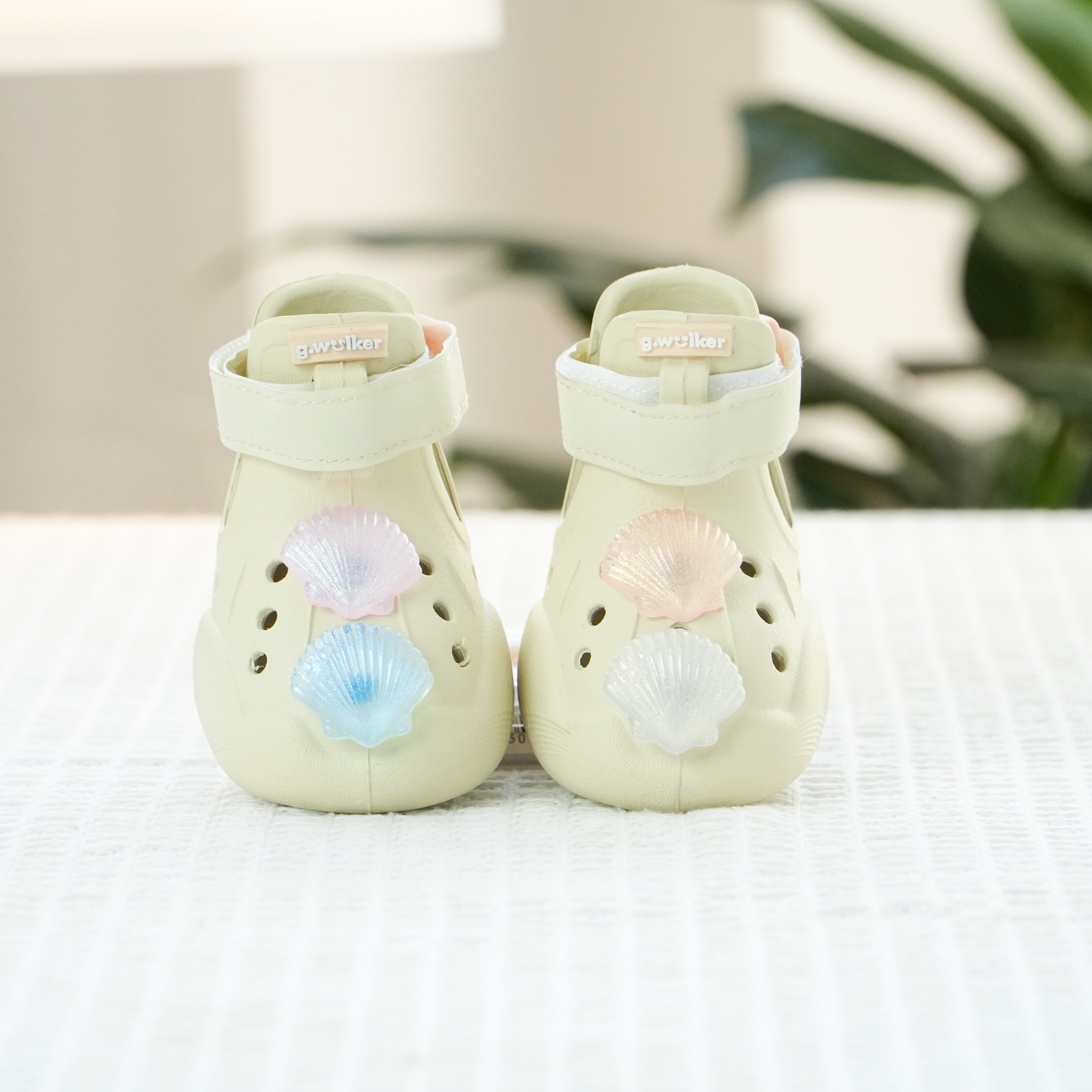 Shimmer Shells Jibbz